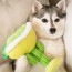 Margarita Loco Dog Toy 2