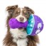 Fetchies® Mellow Mushroom Dog Toy 2