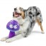 Fetchies® Mellow Mushroom Dog Toy 3