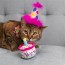 Mewow Cake Plush Cat Toy 2