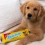 Mutterfinger Dog Toy 2