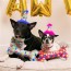 Party Time Bone Dog Toy 5