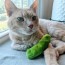 Pickle Plush Cat Toy 3