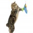 Teaser Sour Scratch Wand 2pk Cat Toy