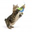 Teaser Sour Scratch Wand 2pk Cat Toy