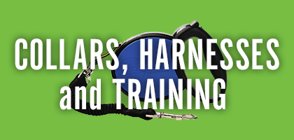 Collars, Harnesses and Training