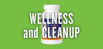 Wellness and Cleanup