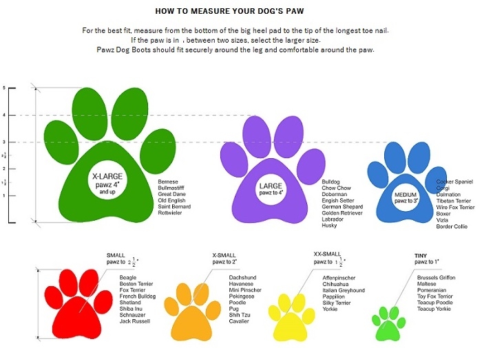 PawZ Sizing Chart